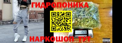 тгк Лесосибирск