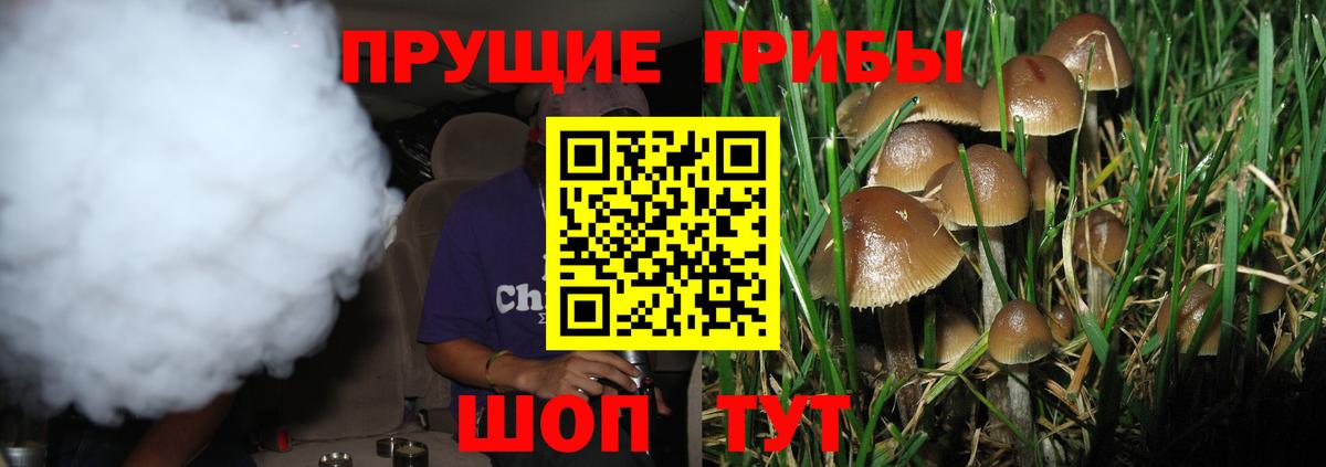 Псилоцибиновые грибы Magic Shrooms  Вход с VPN  Гуково  хочу   Псилоцибиновые грибы Cubensis 