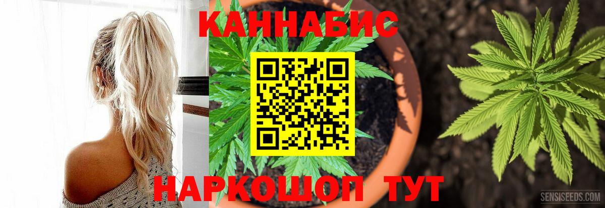Конопля Bruce Banner Гуково
